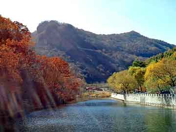 澳彩资料免费长期公开，餐巾纸机器